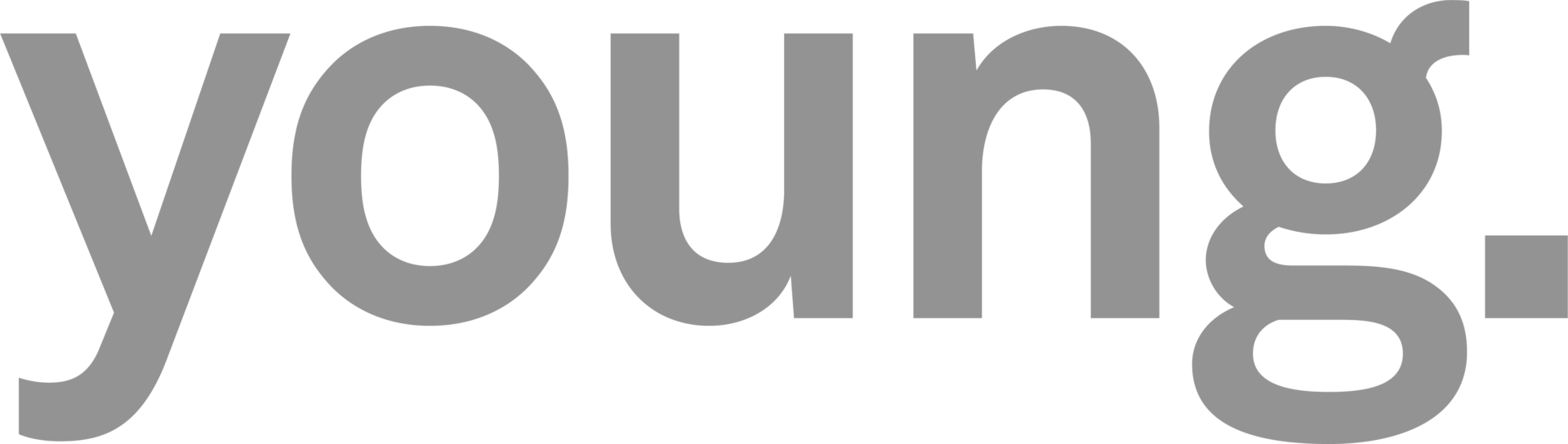 Logo Young Venture Group.